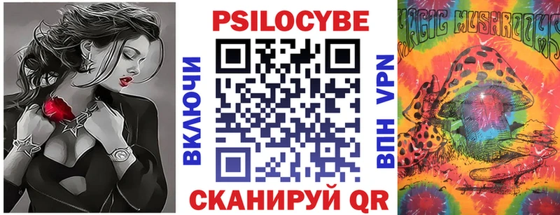 Купить где  Гусиноозёрск  Галлюциногенные грибы Psilocybe 